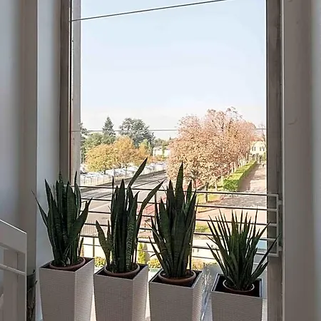 Berghotel 3*