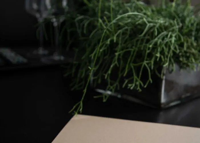 Отель Berghotel 3*